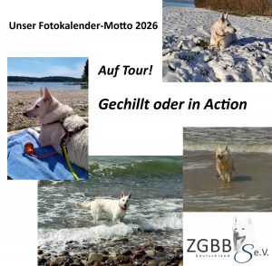 Bayernsieger-Ausstellung 2024