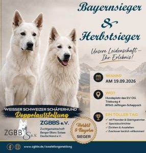 Ergebnisse der Niedersachsen-Cup 2026 Ausstellung